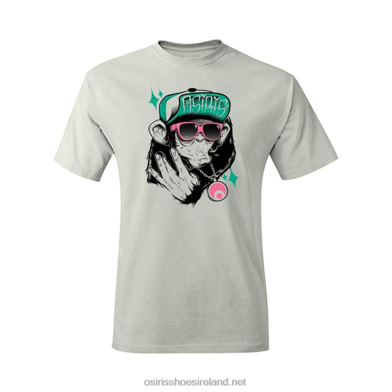 Left Coast Tee PewterOsiris RRP2B49
